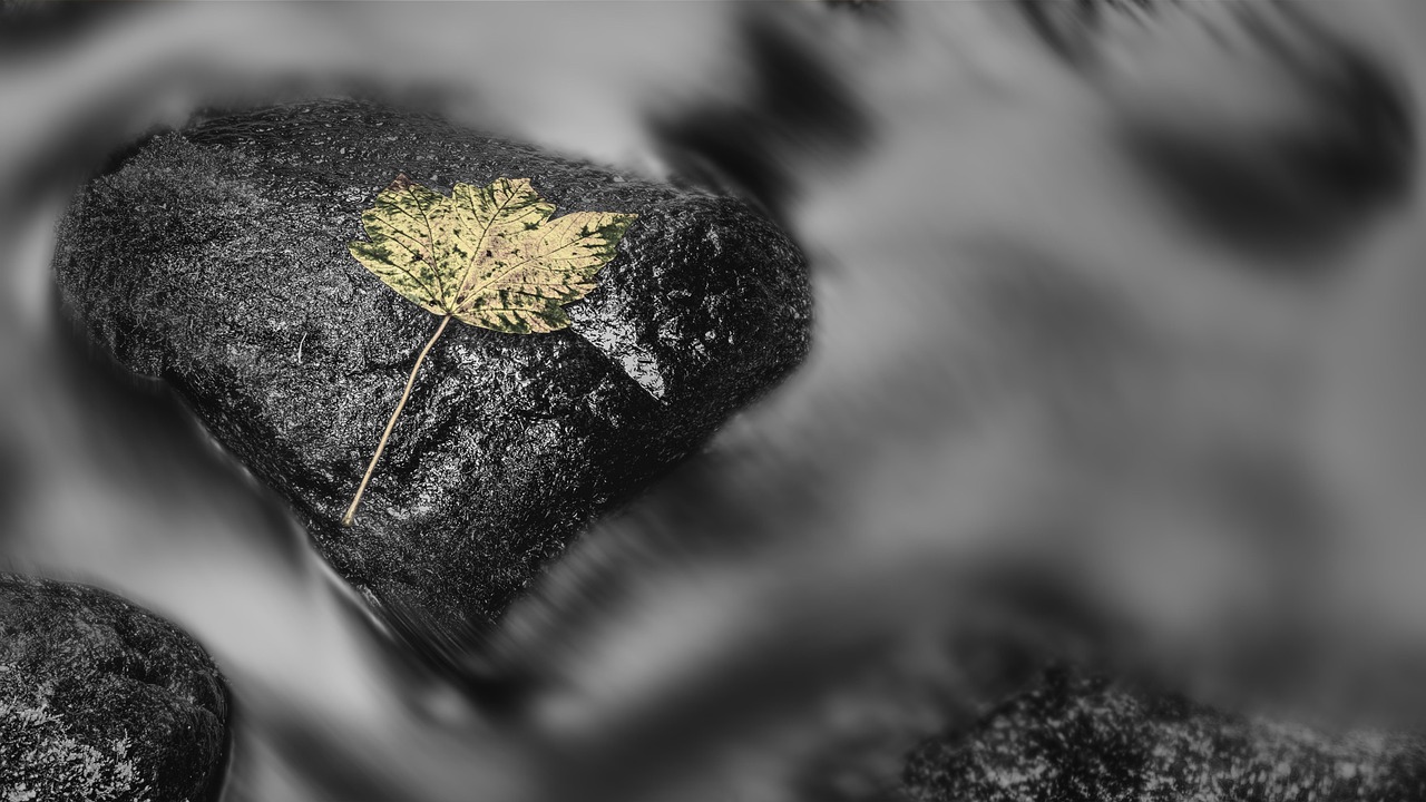 검정색과 흰색 흐름 자연 - Pixabay의 무료 사진 - Pixabay
