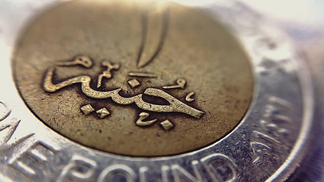 Free One Pound photo and picture