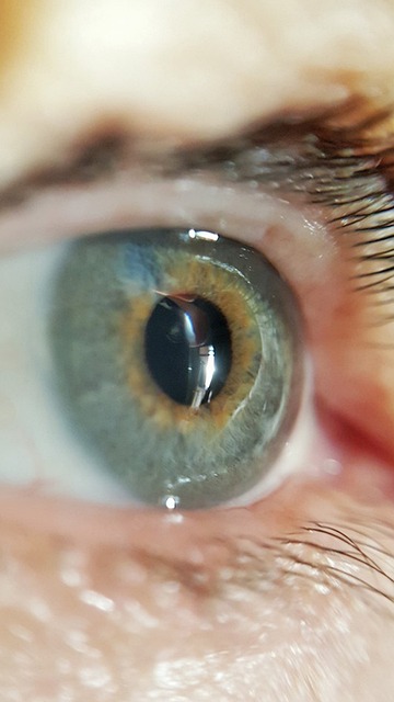 Free Eye Lashes photo and picture