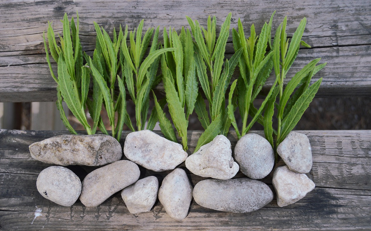 Photo inspiration: Brown Rustic Strip Natural Slate Stone Outdoor Wall Cladding Tile Reference: Background Rustic Stones Wood Free Photo On Pixabay