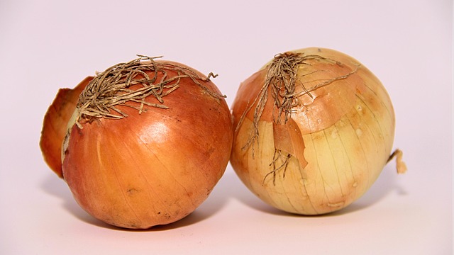 Free Onion Food photo and picture