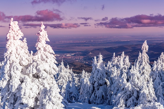 Free Winter Resin photo and picture