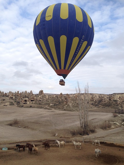 Ballon, Luftballons, Ballonfahren, Pferd