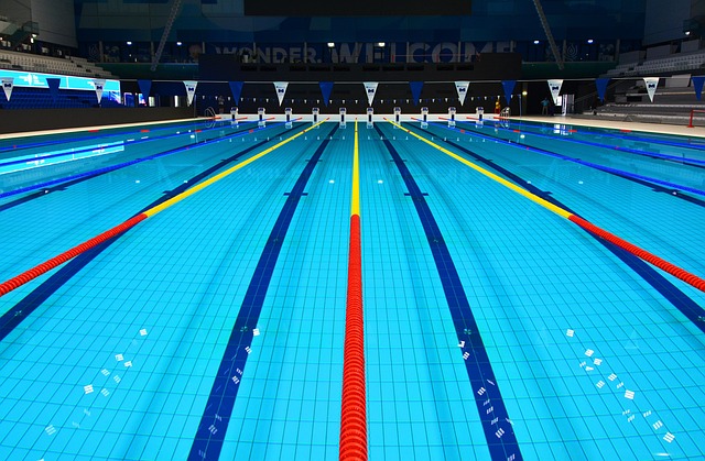 Donau Arena, Budapest, World Cup, Pool