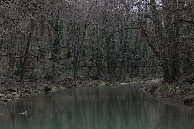 Free Russia Mountains photo and picture