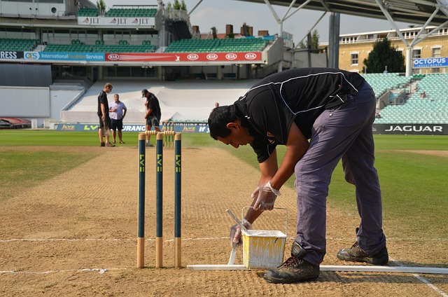 Free County Cricket Wicket photo and picture