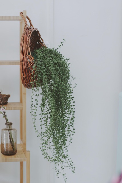 Free Fresh Home photo and picture