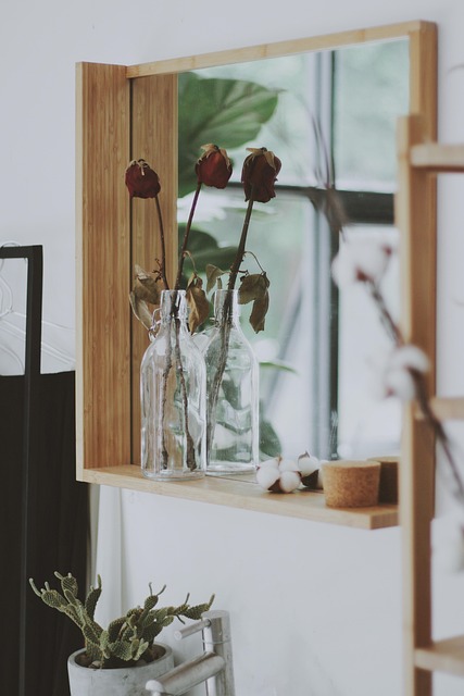 Free Mirror Home photo and picture