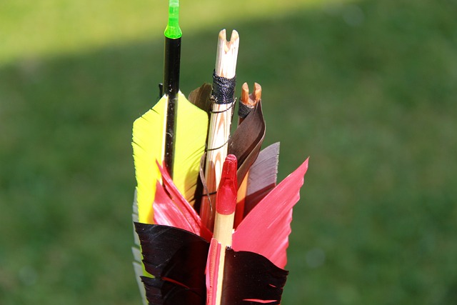 Free Archery Arrow photo and picture