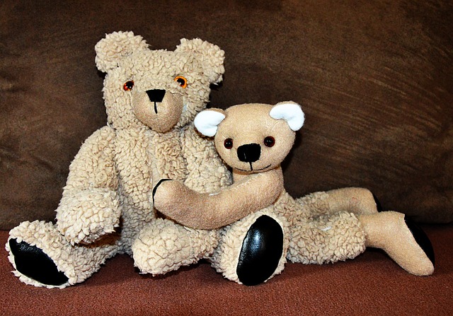 Free Teddy Cute photo and picture