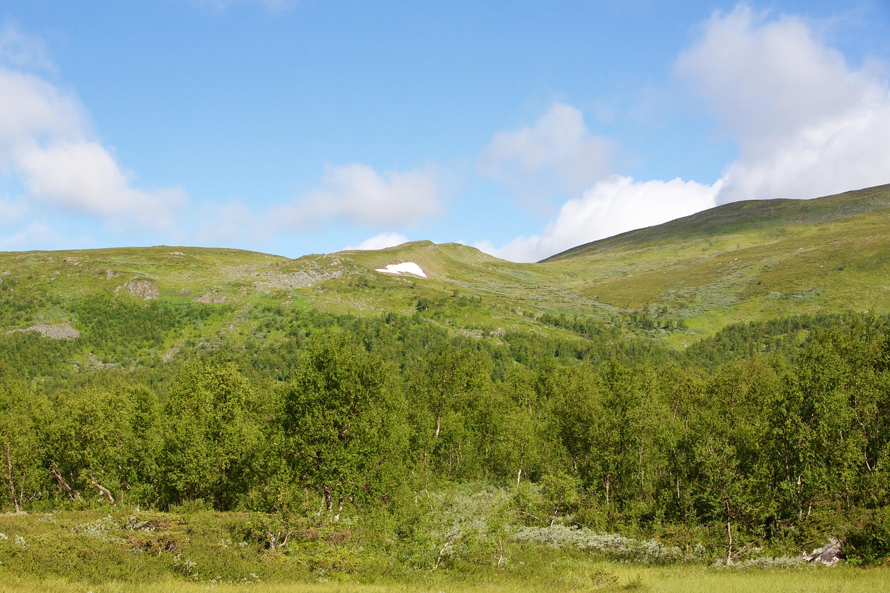 Nature - free online jigsaw puzzle photo