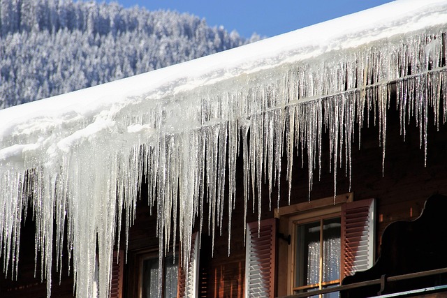 Free Winter Icy photo and picture