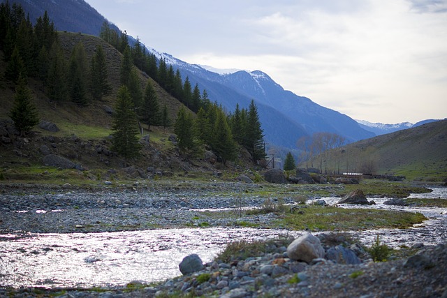 Free Mountains Stream photo and picture