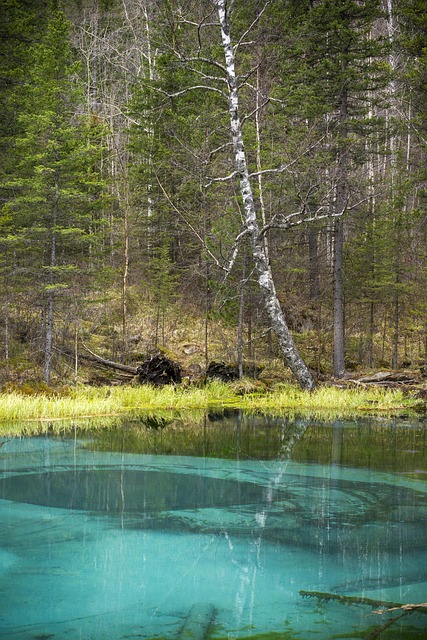 Free Nature Lake photo and picture