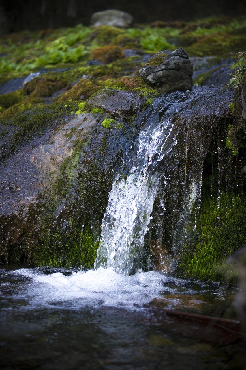 Free Stream Water photo and picture