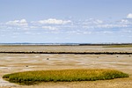 noirmoutier, fishing walking, the fishing foot