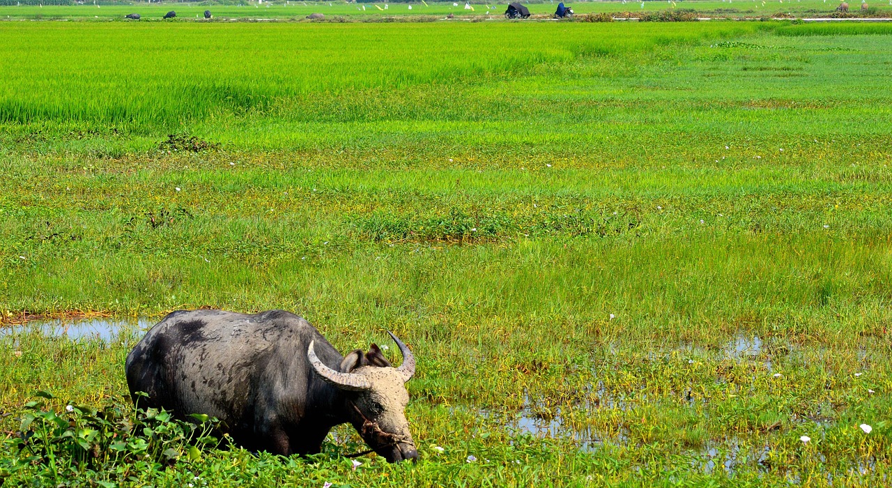 Water - free online jigsaw puzzle photo