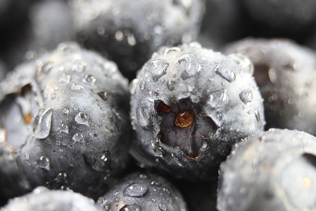 Free Blueberries Closeup photo and picture