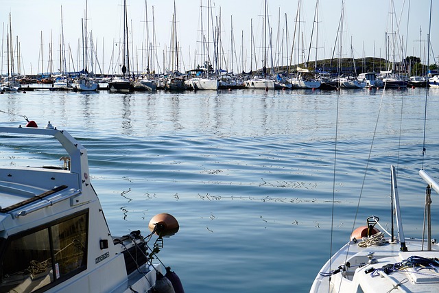 Free Marina Waves photo and picture