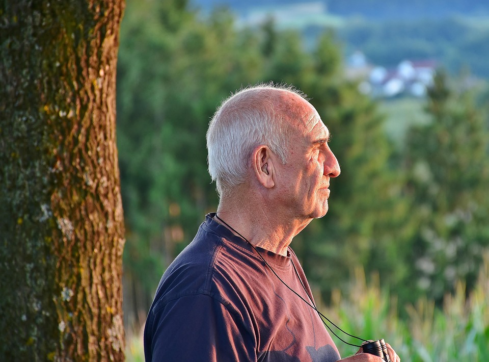 Senior, Man, Wandelen, Pensioen, De Natuur, Bos, Gemeld