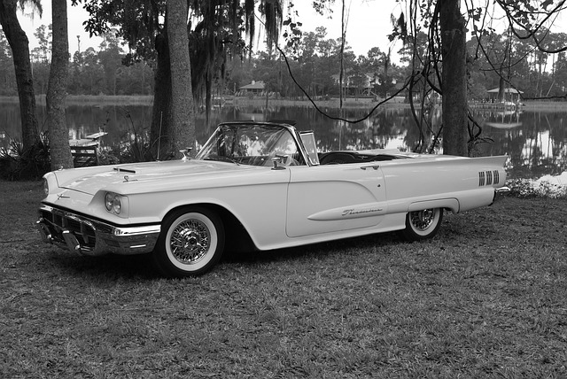 Thunderbird, Ford, Wagen, Auto