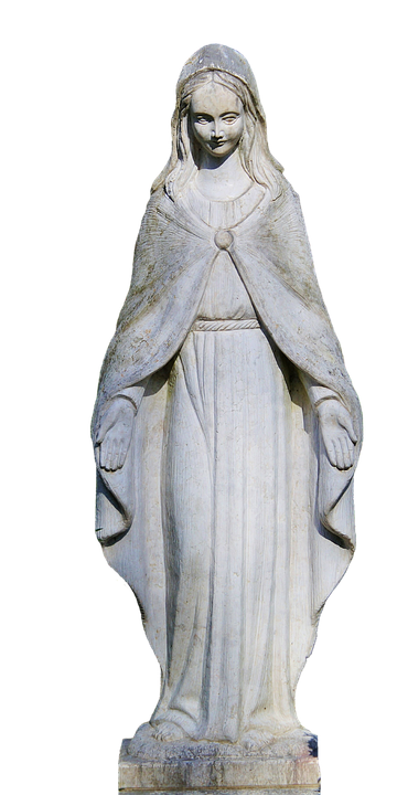 白虎女的b