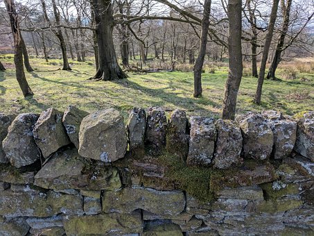Free Drystone Wall Walls photo and picture