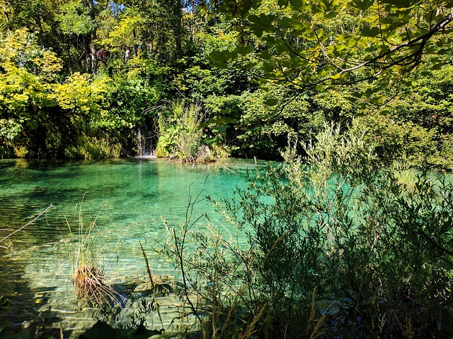 Free Croatia Park photo and picture