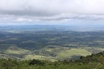 pfp, landscape, aforestation