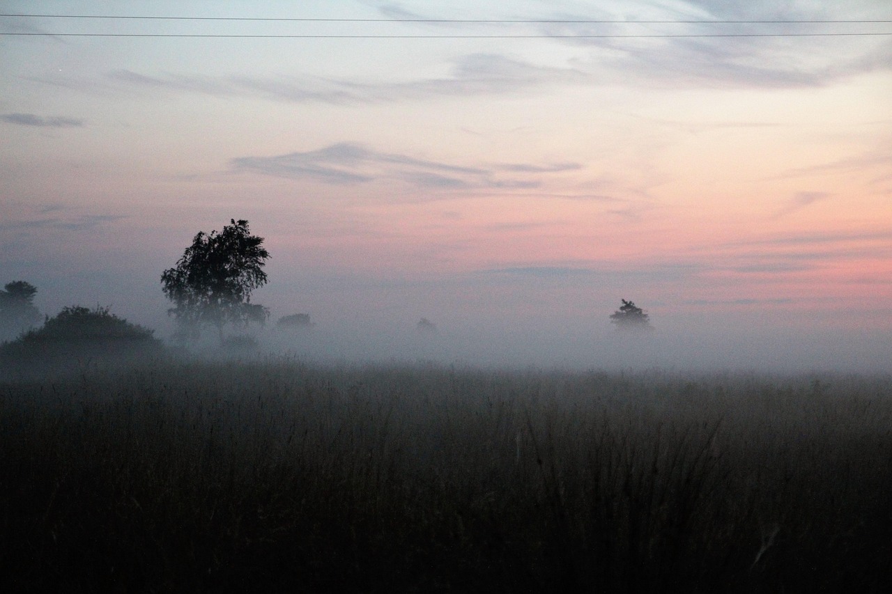 The Fog - free online jigsaw puzzle photo