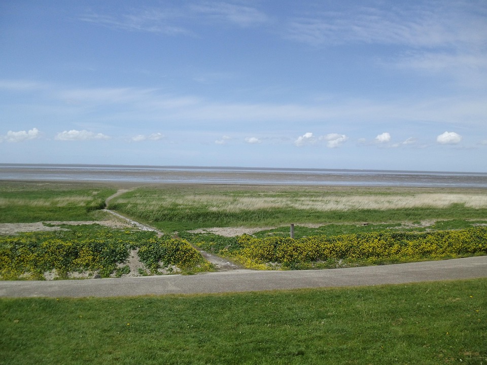 North Sea Nature - Free photo on Pixabay