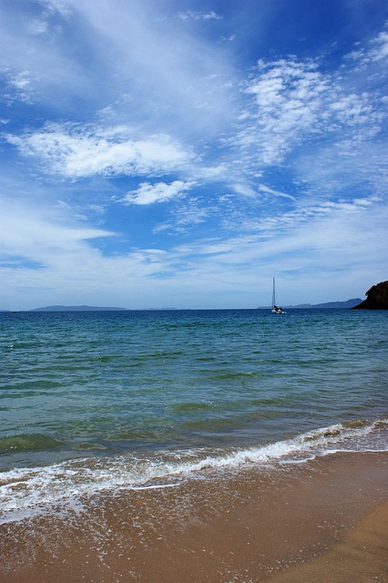 Free Sailboat Beach photo and picture