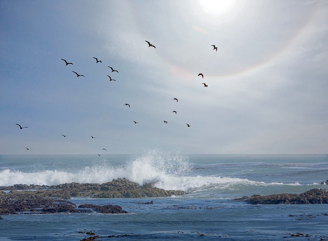 Solen Ring, Stillehavet, Hav, Ocean
