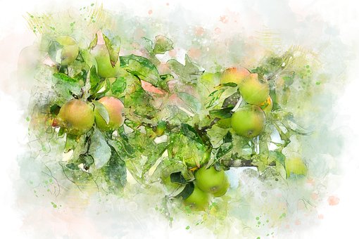 Free Apples Tree illustration and picture