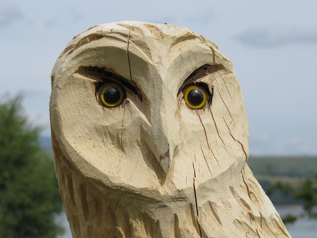 Free Carved Owl Wise photo and picture