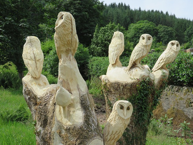 Free Carved Owls Wise photo and picture