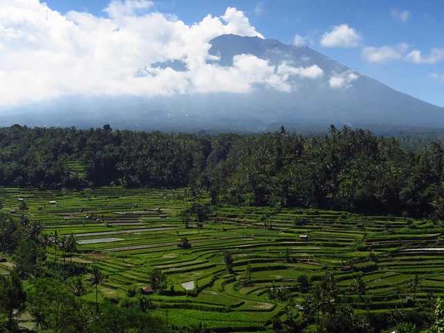 Free Bali Volcano photo and picture