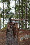 axe, forest, nature