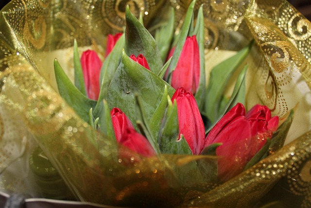 tulip, vibe, good luck, vibe, vibe, vibe, vibe, vibe