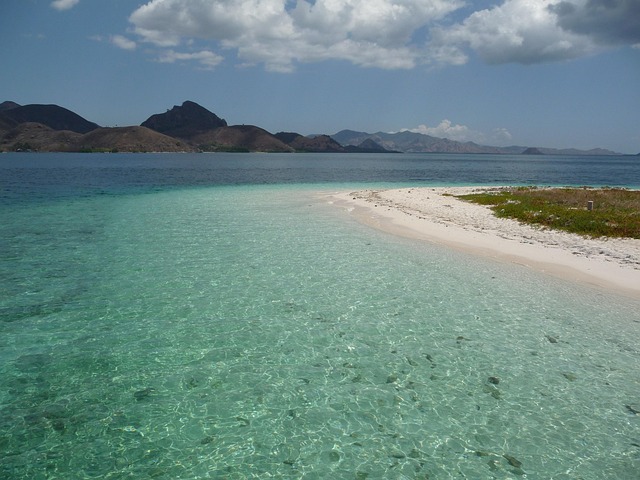 Free Sea Beach photo and picture