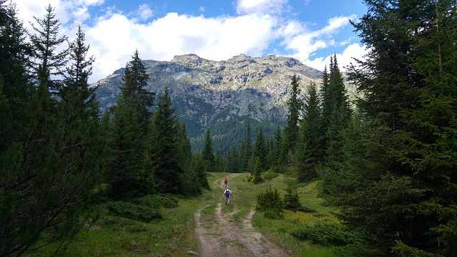 Free Valmalenco Mountains photo and picture