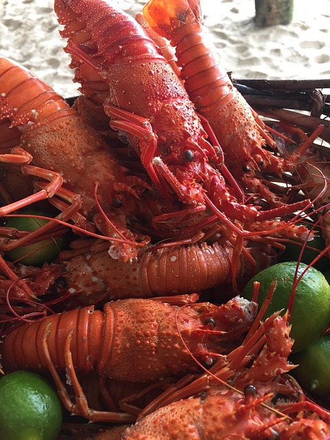 Homari, Fructe De Mare