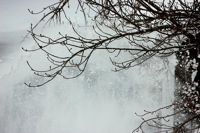 Free Snow Winter photo and picture