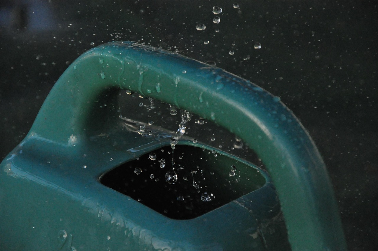 Goutte D'Eau Arrosoir L'Eau - Photo gratuite sur Pixabay - Pixabay