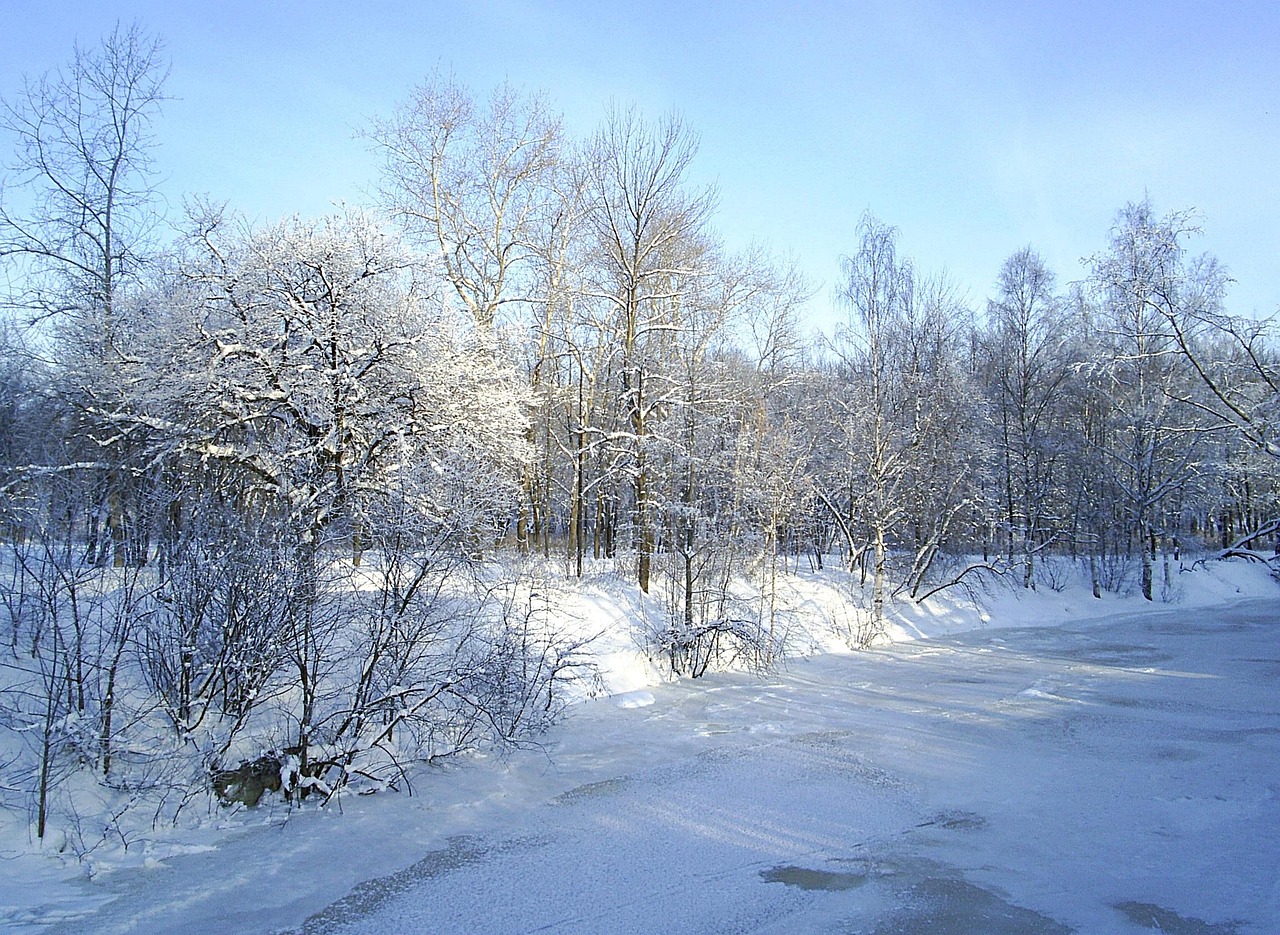 karjala-luonne-karjalassa-talvi-ilmainen-valokuva-pixabayssa-pixabay
