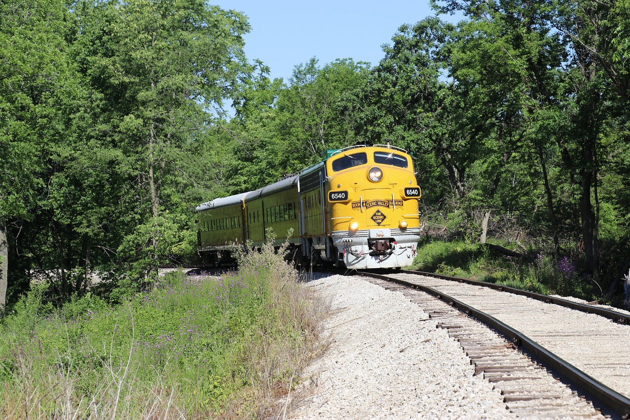 Train - free online jigsaw puzzle photo