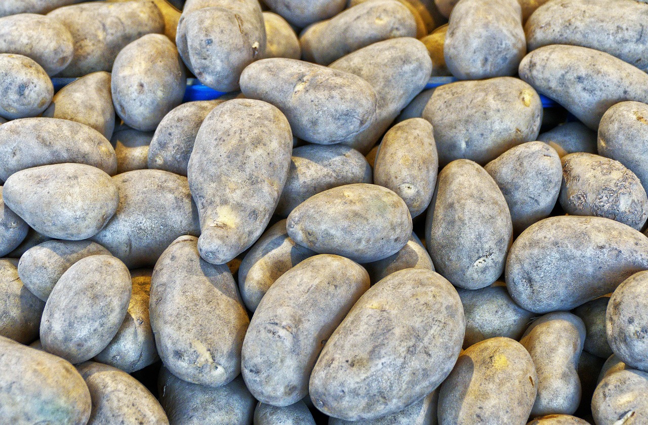 Potato - free online jigsaw puzzle photo