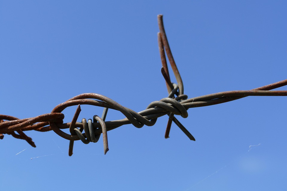 Barbed Wire Button Sharp - Free photo on Pixabay