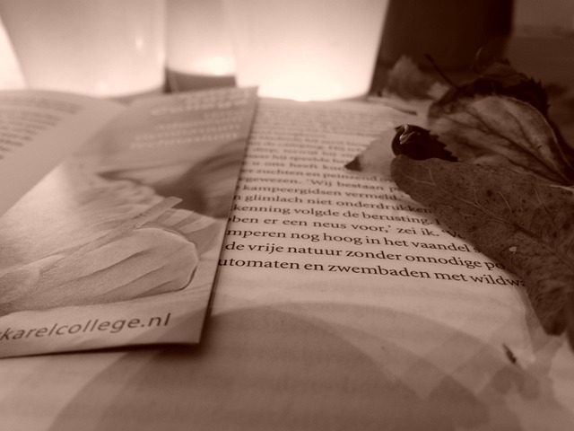 Free Bookmark Book photo and picture