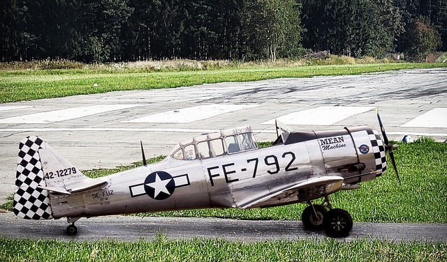 Free plane warbird aviation illustration